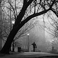 Isham Park, Fog 